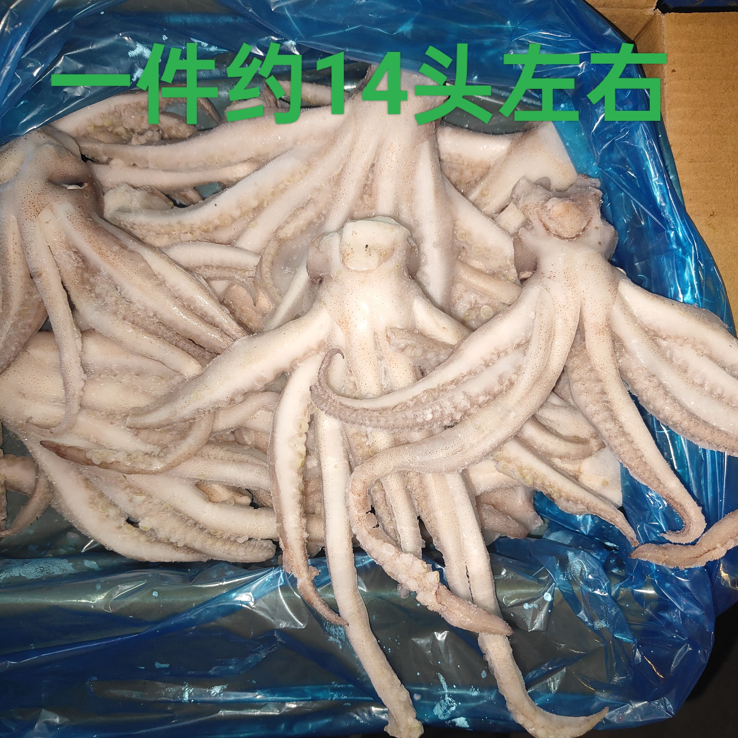 新鲜冷冻鱿鱼头鱿鱼须烧烤包邮