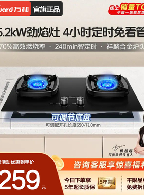 万和G9新品猛火燃气灶家用双灶定时天然气台嵌两用灶具炉灶旗舰店
