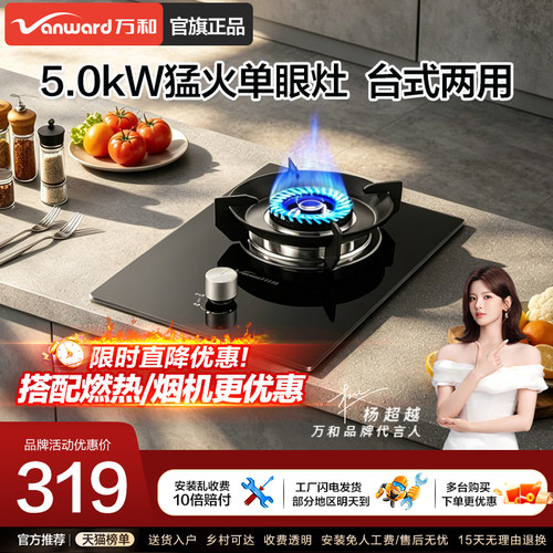 【工厂直销】5000W单灶台式两用