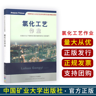 氯化工艺作业 特种作业人员安全技术培训考试系列配套教材 中国矿业大学出版社