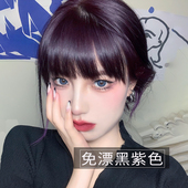 黑紫色染发剂黑加仑紫色染发膏2026流行色自己在家染潮发型宝哥