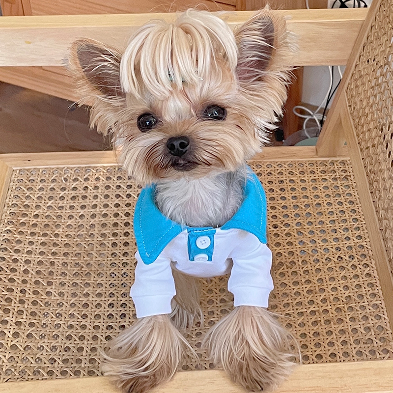 小甜粥宠物衣服纯棉现做