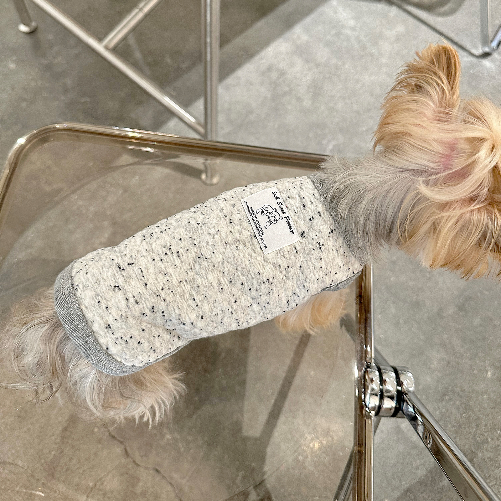 宠物外套小甜粥冬季保暖马甲