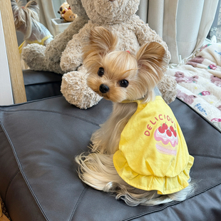 小甜粥宠物服狗狗猫咪小型犬印花吊带南瓜裙约克夏马尔济斯衣服