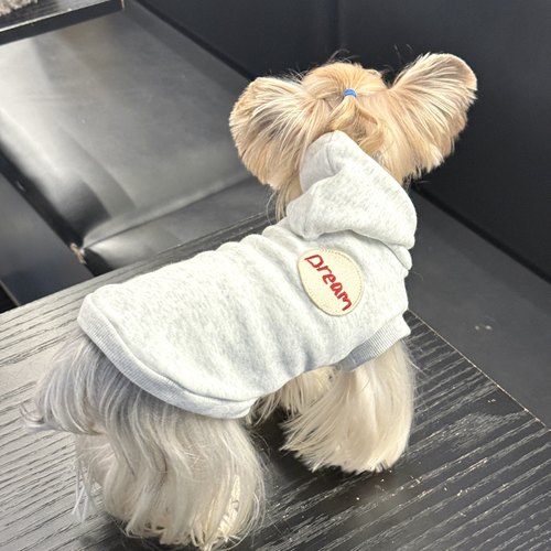 小甜粥宠物服狗狗秋冬加绒连帽衫卫衣背心约克夏马尔济斯宠物衣服