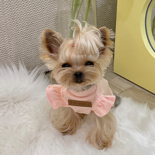 小甜粥猫狗少女风花边背心