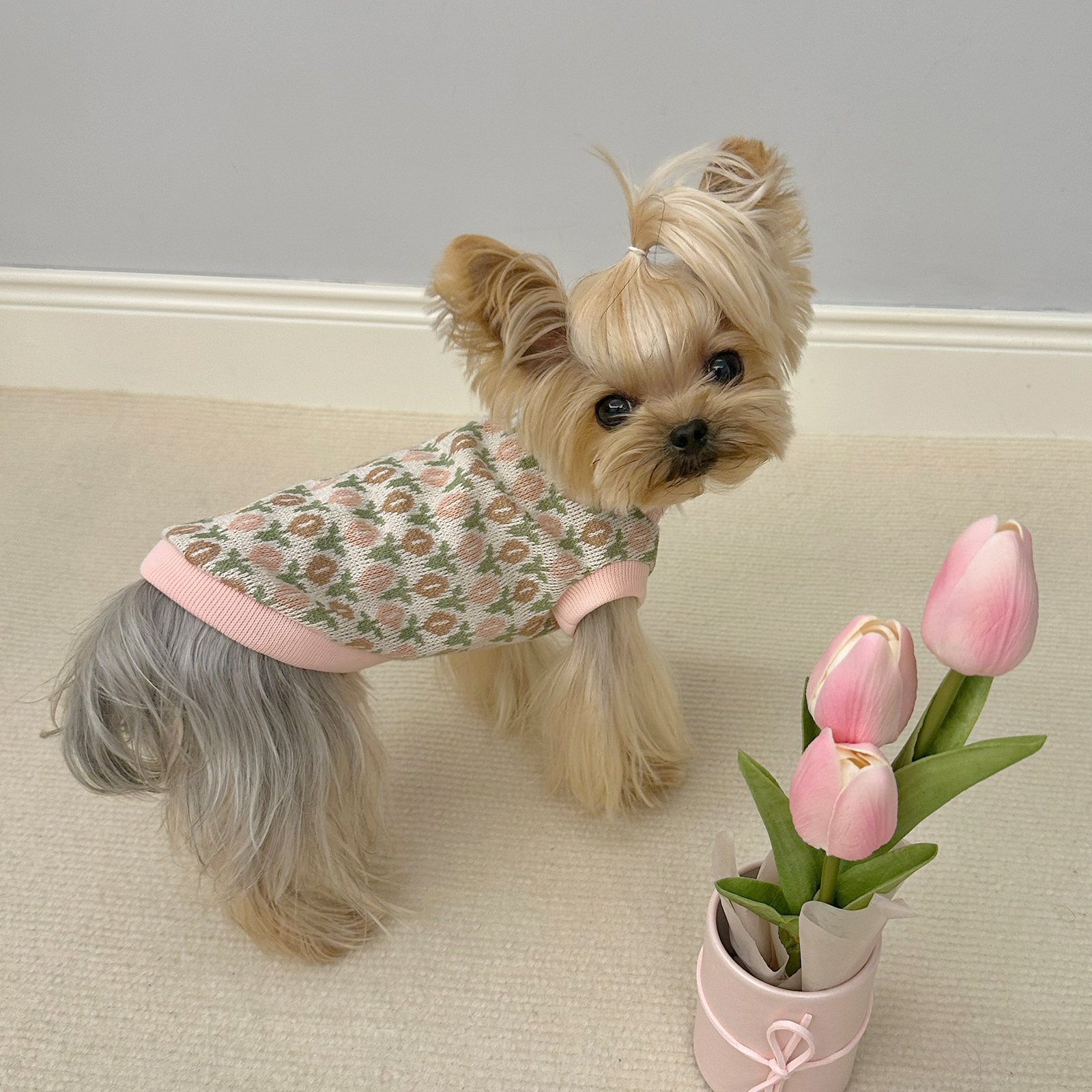 宠物背心小甜粥约克夏背心毛衣