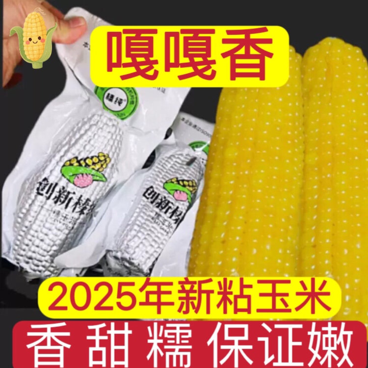 黑龙江创新臻淳新糯玉米上市