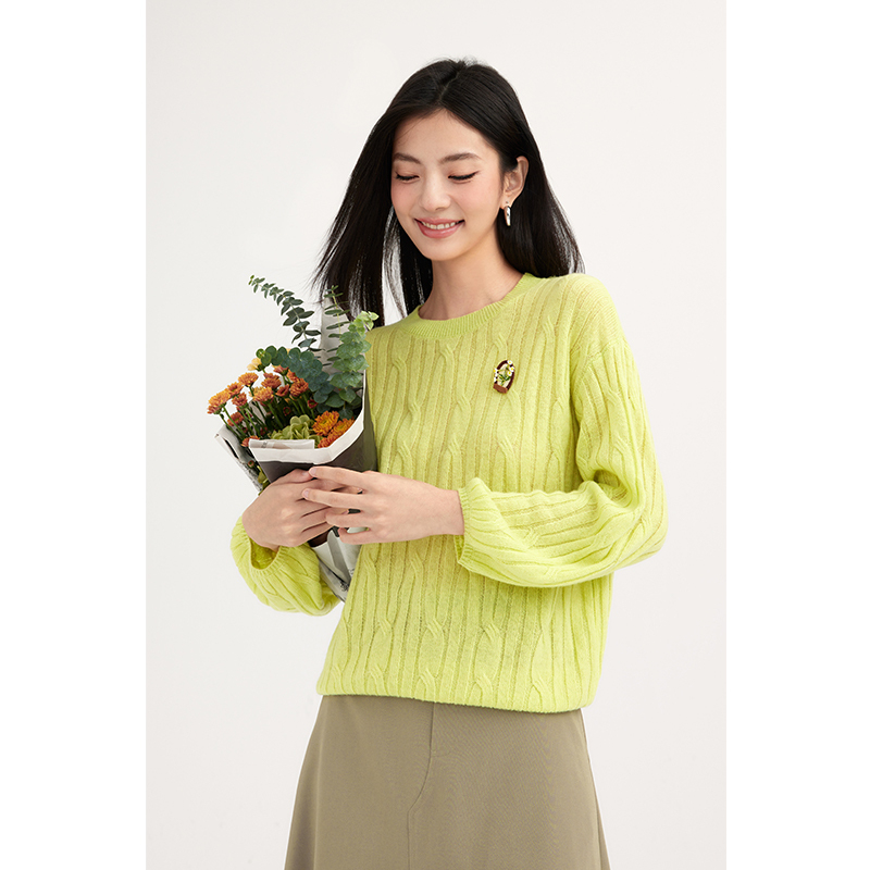 【商场同款】诗凡黎圆领绞花针织衫2024春新款套头衫女3F2130211