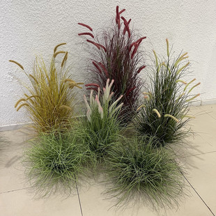 仿真狗尾巴草堆盆栽秋色系造景假草堆狼尾草绿植假花草团块状苔藓