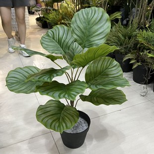 仿真青苹果叶北欧ins家居装饰假花单颗绿植布景配材网红把束植物