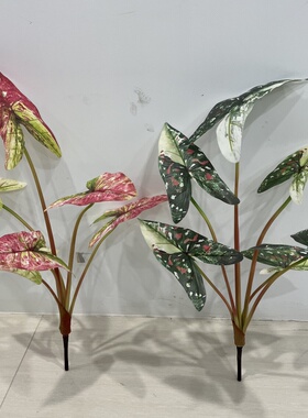 仿真彩芋叶海芋植物绿植