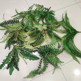 仿真波斯草羊齿蕨狼蕨鸟巢蕨波士顿蕨绿植造景装饰落地盆栽排草
