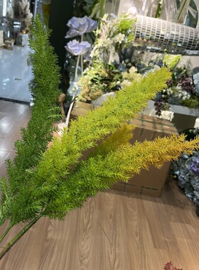 仿真狐尾天门冬 单支渐变色花艺造景花材松草高大线性花艺素材