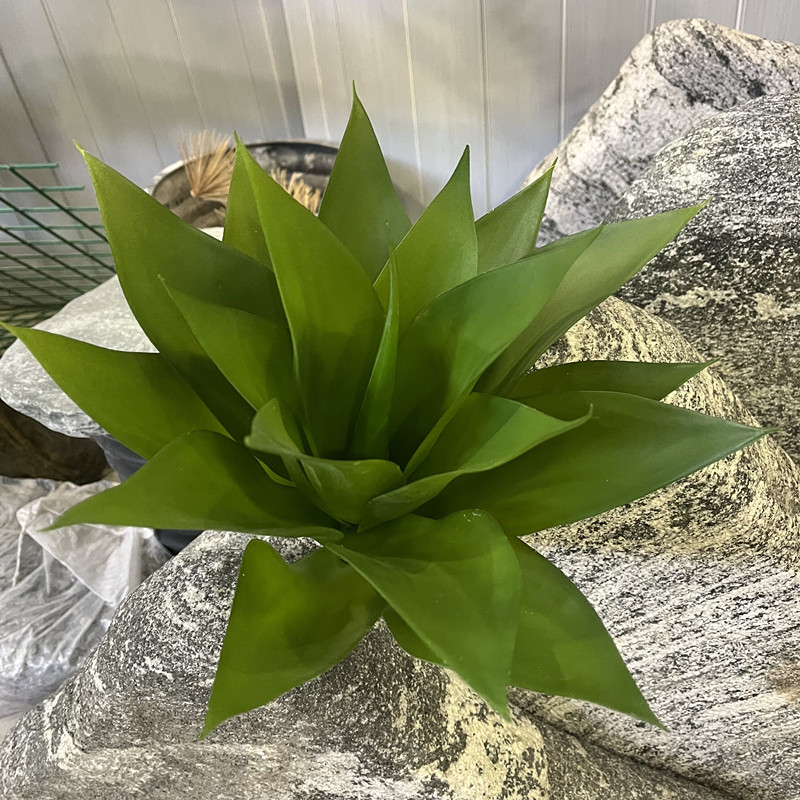 仿真蕨叶鸟巢蕨叶龙舌兰波斯草排草植物造景装饰花箱搭配绿植摆放