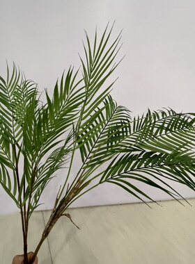 仿真棕榈树盆栽盆景插花凤尾葵叶热带绿植树叶散尾葵树软胶椰子叶