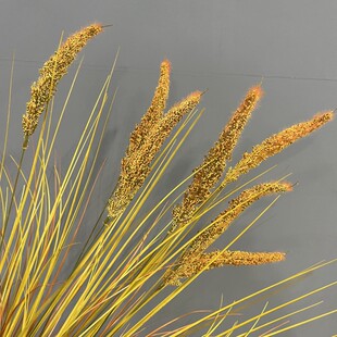 狼尾草狗尾草仿真花芦苇草工程造景装饰毛毛草干花高枝落地把束