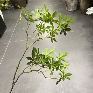 冬青叶仿真黄荆叶绿植造景落地植物景观装饰假黄荆树花艺插花材