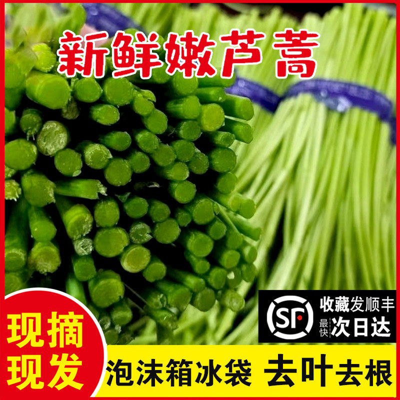 去根去叶芦蒿新鲜篱蒿苏北农家自种蔬菜藜蒿现摘泥蒿黎蒿顺丰包邮