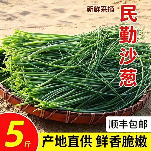 顺丰民勤现摘沙葱火锅食材