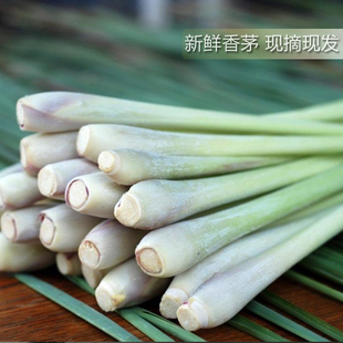 种植地直发新鲜柠檬香茅柠檬草Fresh Lemongrass泰国菜越南菜配料