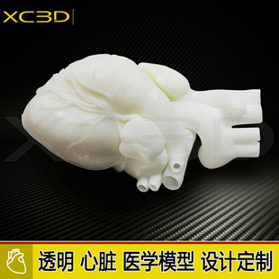3D打印医疗骨骼心脏血管肾脏肝脏模型高精度快速成型透明心脏定制