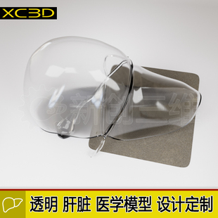 3D打印透明肝脏模型设计定制医疗水晶心脏手术模型胃医学教学教具