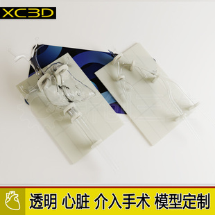 心脏肺动脉模型下肢静脉血管模型器械介入透明可拆卸血栓抽吸导管