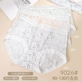 五条装 镂空9026 可爱时尚 50支莫代尔舒适透气柔软少女三角裤 中腰款