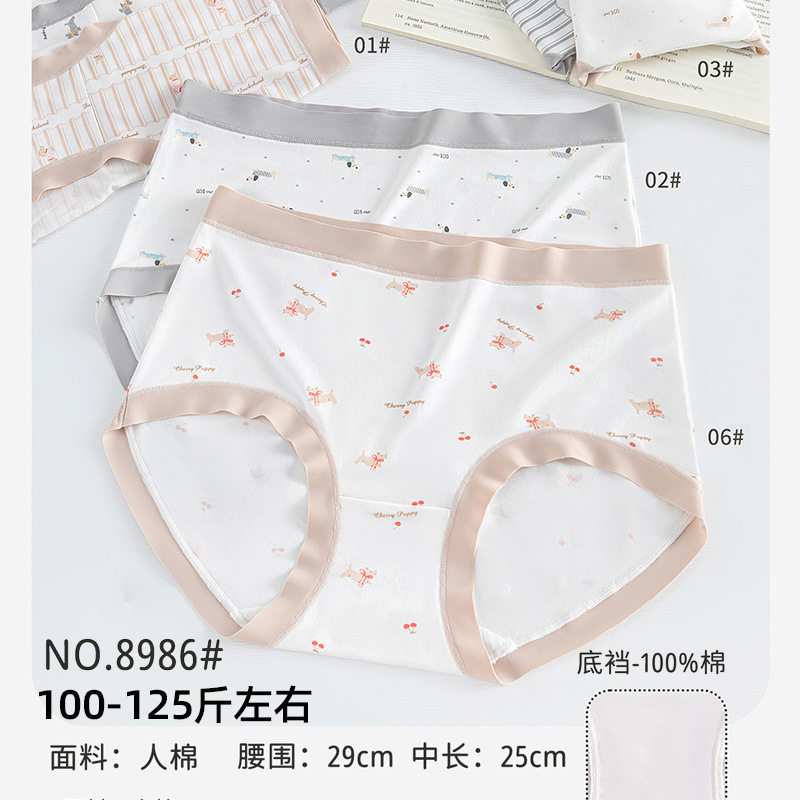 五条装新品100-125斤RC棉莫舒适女三角裤中腰款时尚纯棉底档8986