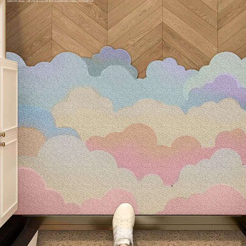 刮泥蹭土丝圈入户地垫任意裁减