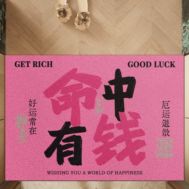 命中有钱创意文字丝圈入户门垫玄关除尘脚垫可裁剪大门口地垫免洗