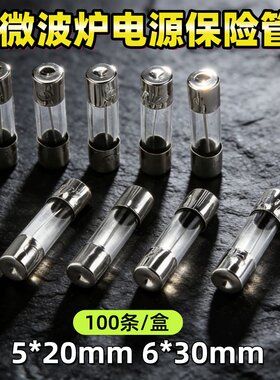 适用格兰仕微波炉保险丝8A10A250V通用电源延迟管高压保险丝配件