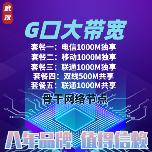 国内服务器租用湖北电信移动联通G口大带宽服务器游戏电商数据API