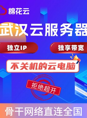 武汉电信云服务器租用 VPS服务器 独立IP 独享带宽不掉线的云电脑