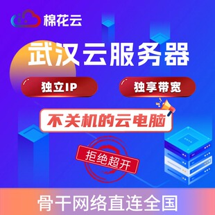 武汉电信云服务器租用 VPS服务器 独立IP 独享带宽不掉线的云电脑