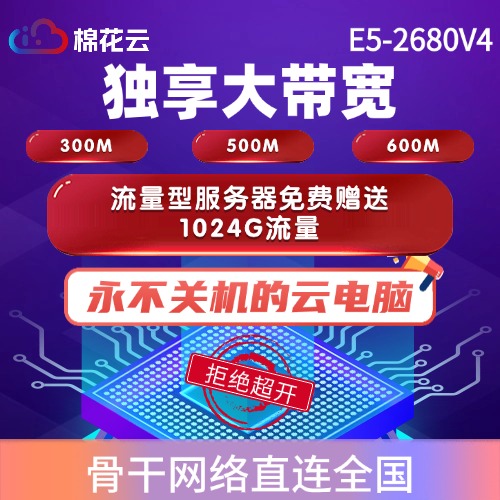 武汉电信大流量流量型服务器300M500M600M可选游戏无延迟超稳定