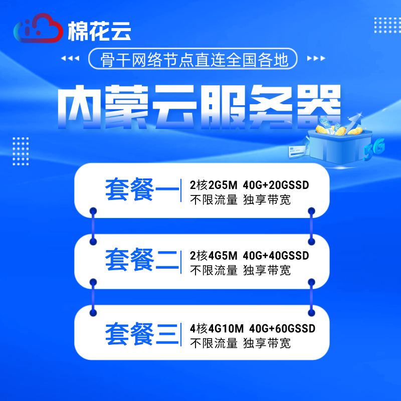 内蒙古BGP云服务器网课学习电商购物可用支持定制套餐带防御