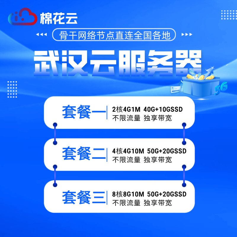 湖北武汉电信电商可用云主机租用云主机可选机型云服务器租用