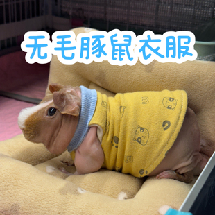 无毛豚鼠保暖衣服荷兰猪秋冬加厚加绒衣服小河马防冻防寒可爱外套