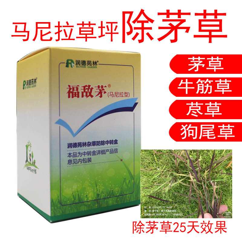 马尼拉草坪除茅草马唐牛筋草