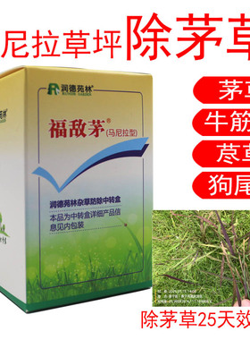 马尼拉草坪除茅草润德福敌茅芦苇牛筋草马唐千金子稗草农药除草剂