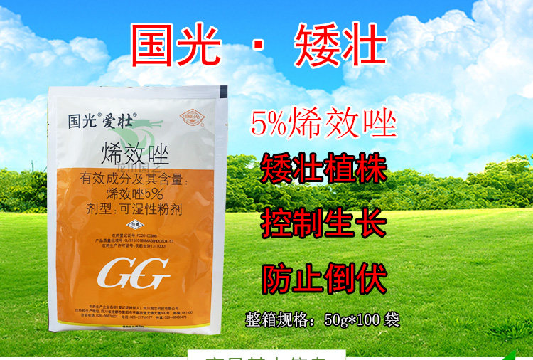 国光爱壮烯效唑花椒收老矮壮素花生油菜多肉植物控旺生长调药剂