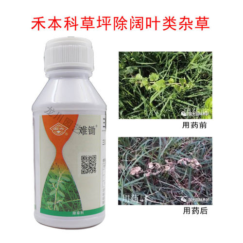 国光难锄 三氯吡氧乙酸丁氧基乙酯 除阔叶杂草杂灌 草坪除草剂