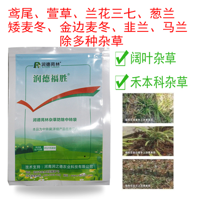葱兰韭兰除草剂润德福胜鸢尾萱草矮叶麦冬金边麦冬兰花三七除杂草