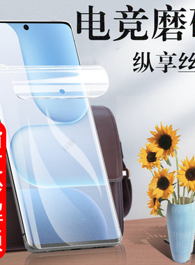 适用荣耀500pro磨砂膜mep/mey-an00手机honor500mapan00钢化500p华为pr0电竞x5ro保护meyan-anoo壳p5oopro套