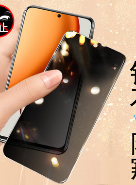 适用荣耀x9d/x9d5g防窥膜mtn-nx1