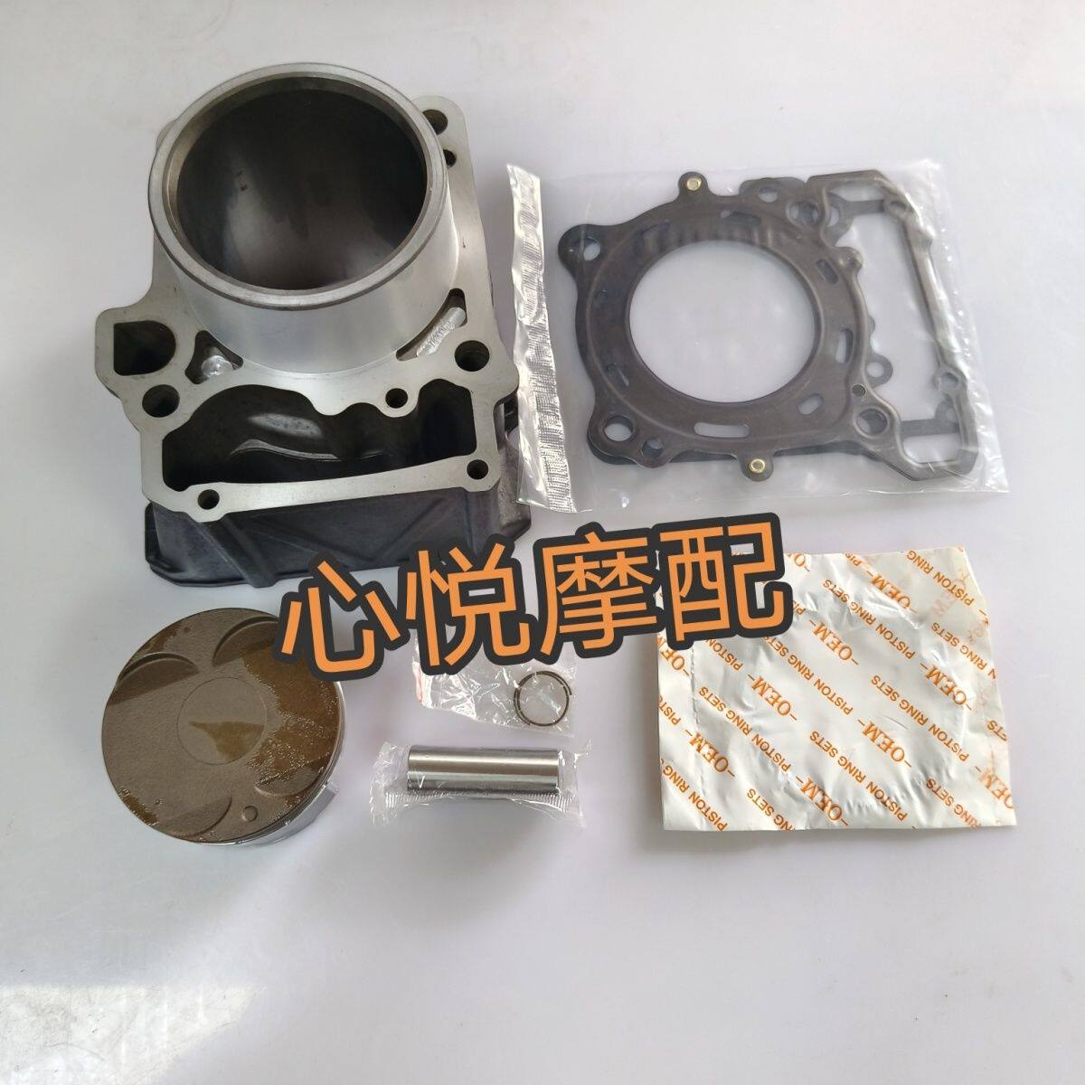 适用飞鹰摩托车跑车R25水冷电气缸体
