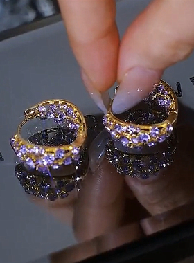 2024年新款潮大气质时尚满钻紫色圈圈耳环百搭小众设计精致耳环女