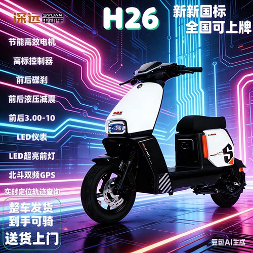 深远新国标长续航锂电外卖电动车